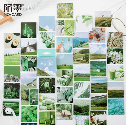 Cajita de 45 Stickers “Green Life"