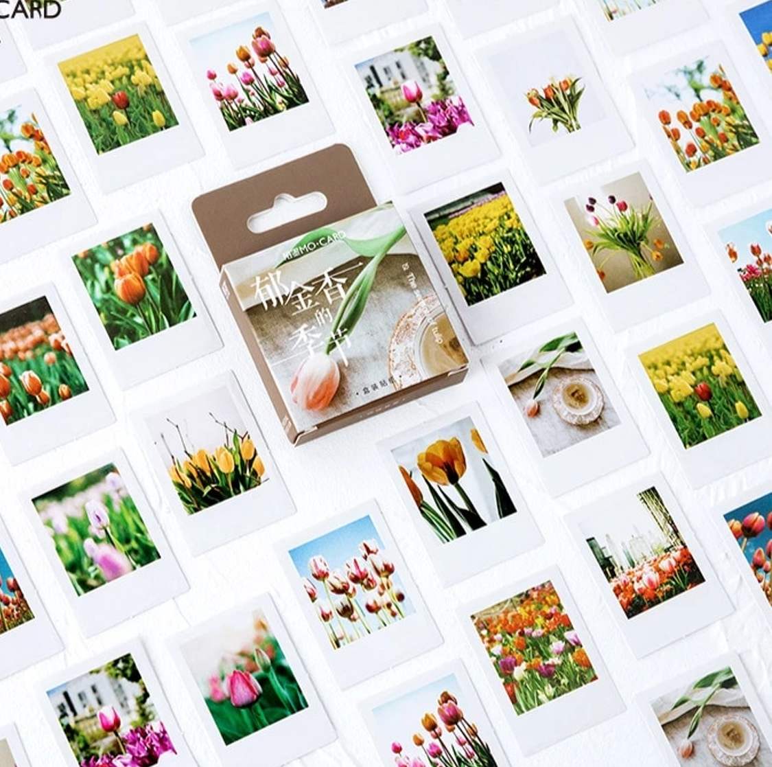 Cajita de 46 Stickers “Tulipanes”