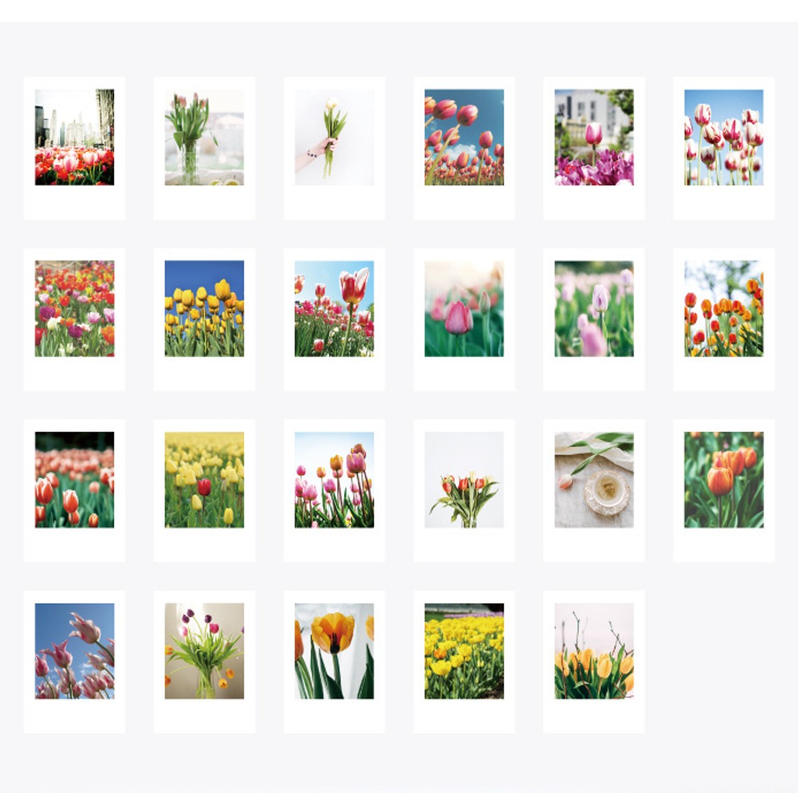 Cajita de 46 Stickers “Tulipanes”